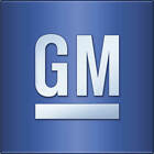 12490247 Gm Chevrolet Gmc Genuine Service Component Floor Mats