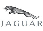C2z17858 Jaguar Cargo Area Liner