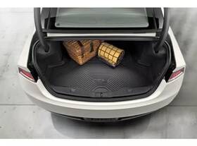 Dp5z-6111600-aa Ford Genuine Cargo Area Protector - Black