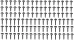 40 Interior/exterior Chrome Screws! For Classic Cars, Trucks, Convertible Etc. Fixed Price $38.00.