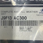 *usa* Floor Mat-all-weather Front And Rear Hyundai Oem Accessories J9F13-AC300. Fixed Price $140.00.