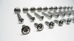 Set Of 33 Chrome Interior/exterior Screws! Classic Ford Truck Van Wagon Etc. Fixed Price $17.00.
