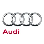 Genuine Audi Foot Mat 4K1-863-011-JTV. Fixed Price $213.97.