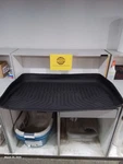 Odyssey 2011 Carpet Front 130861. Fixed Price $79.95.