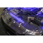 Radiator Cover W/green Led 2011-2012 Ford Mustang Gt Stainless/perforated. Fixed Price $434.80.