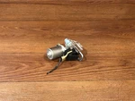 1987-1993 Cadillac Allante Rear Trunk Pull Down Motor Latch Lock Actuator Oem #2. Fixed Price $136.50.