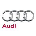 Genuine Audi Foot Mat 4E4-863-011-DR3. Fixed Price $224.99.