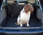 Fits Audi Q8 Car Boot Protector Mat. Fixed Price $19.98.