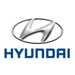 Genuine Hyundai Cargo Tray Reversible F3212-ADU00. Fixed Price $94.49.
